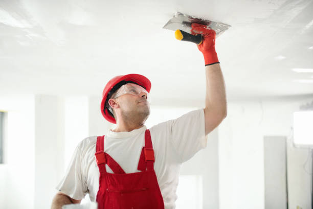 Best Exterior Painting  in Sauk Vlage, IL